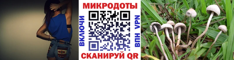 Галлюциногенные грибы мухоморы  площадка официальный сайт  Свирск 